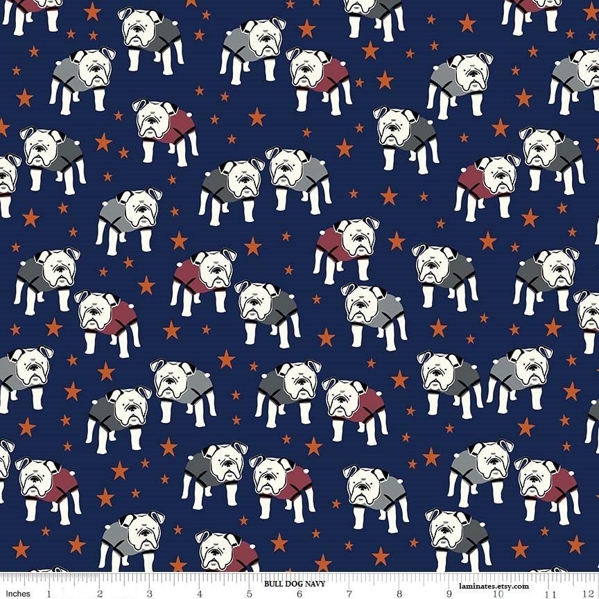 Hey Mister Main Navy - LAMINATED Cotton Fabric - Riley Blake
