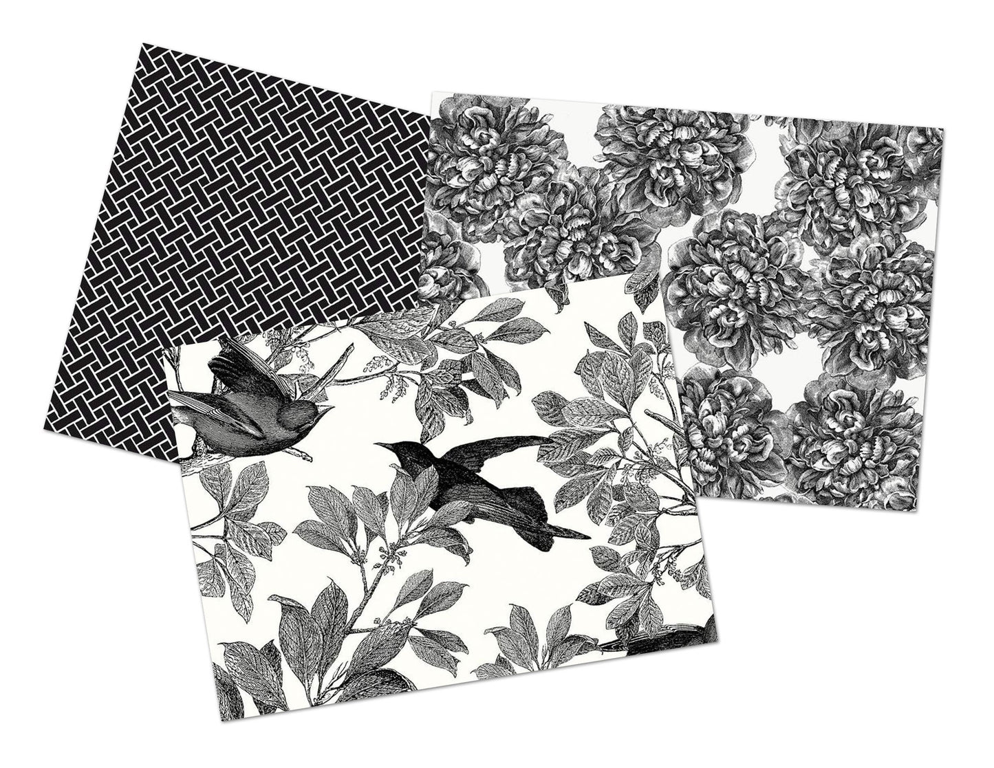 Classic Caskata Birds Black - LAMINATED Cotton Fabric - Riley Blake