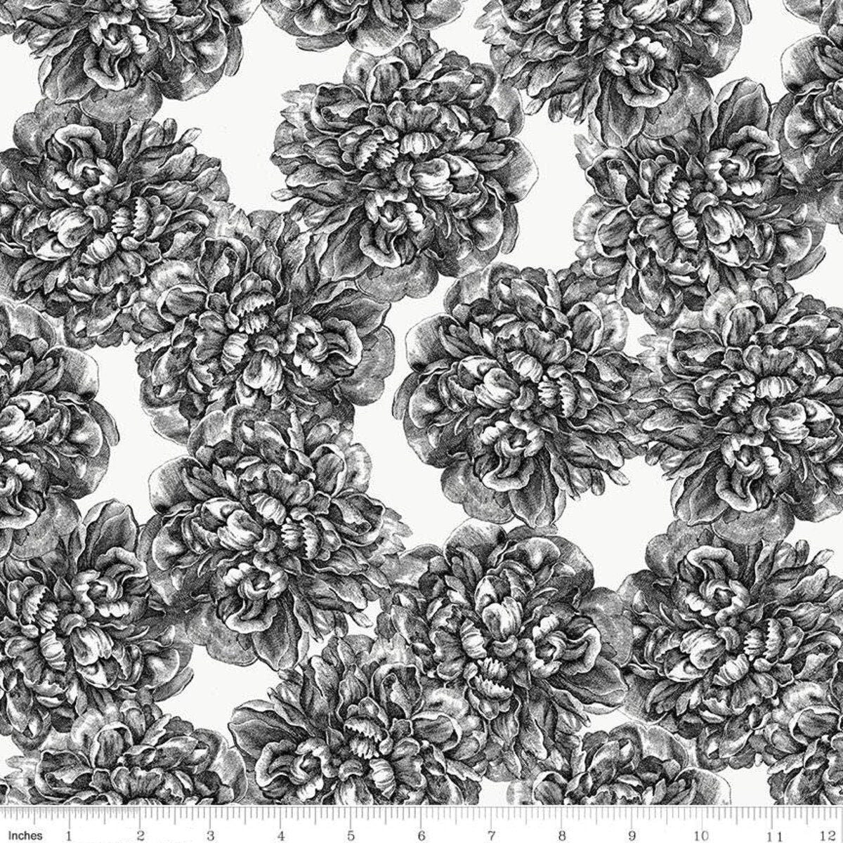 Classic Caskata Main Black - LAMINATED Cotton Fabric - Riley Blake