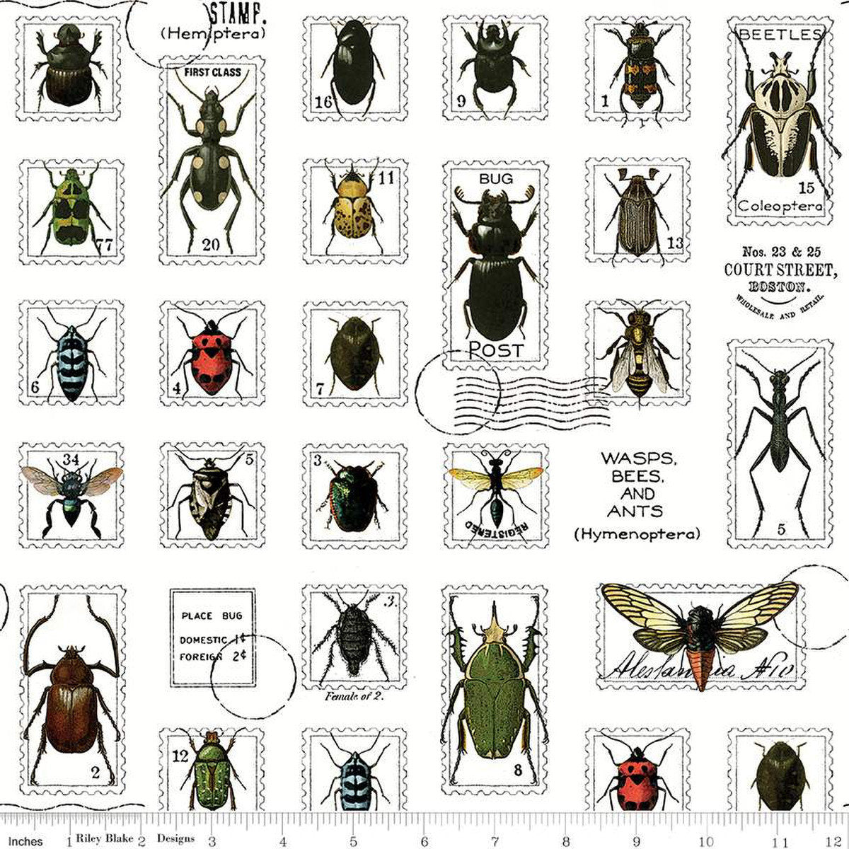 Art Journal Bugs Post Multi - LAMINATED Cotton Fabric - Riley Blake
