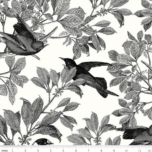 Classic Caskata Birds Black - LAMINATED Cotton Fabric - Riley Blake