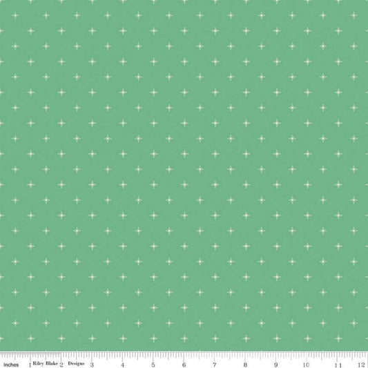 Wildwood Wander Compass Green - LAMINATED Cotton Fabric - Riley Blake