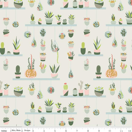 LAMINATED cotton fabric - Succulent-Arid Oasis Off-white (sold continuous by the half yard) Food Safe Fabric, BPA free