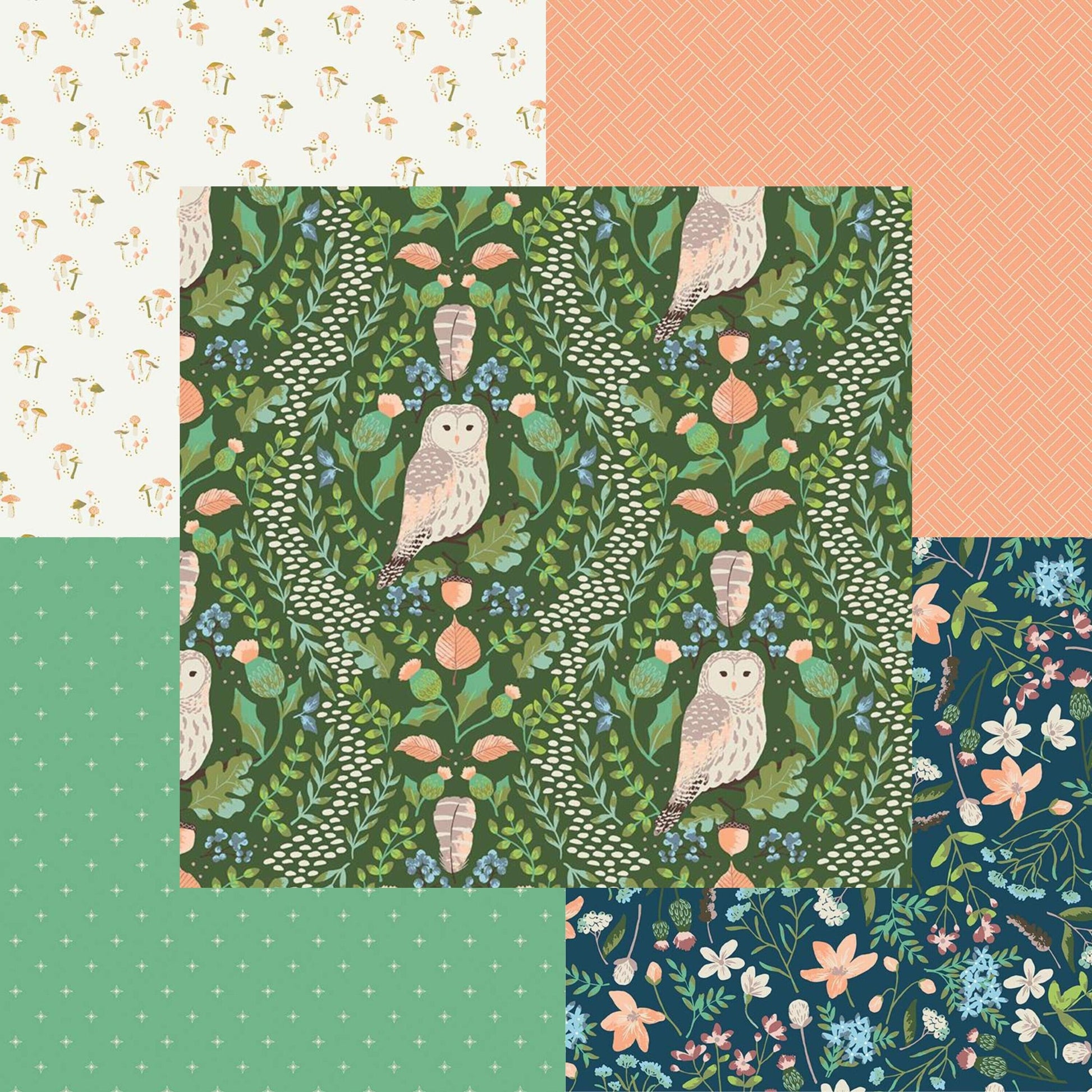 Wildwood Wander Compass Green - LAMINATED Cotton Fabric - Riley Blake