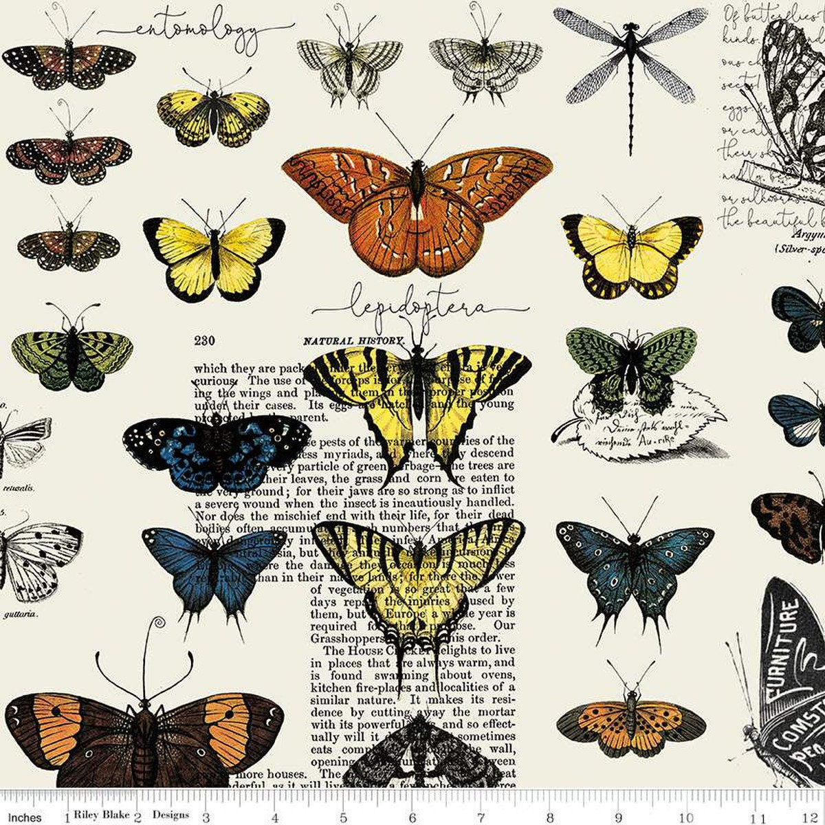 Art Journal Butterflies Light Gray - LAMINATED Cotton Fabric - Riley Blake